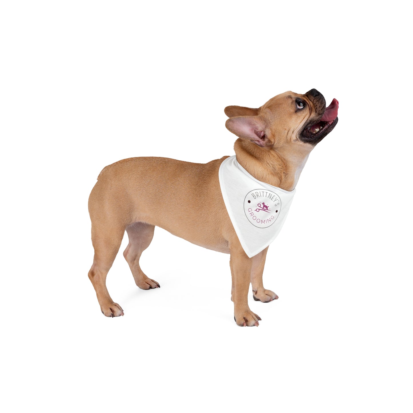 Brittney's Grooming Pet Bandana