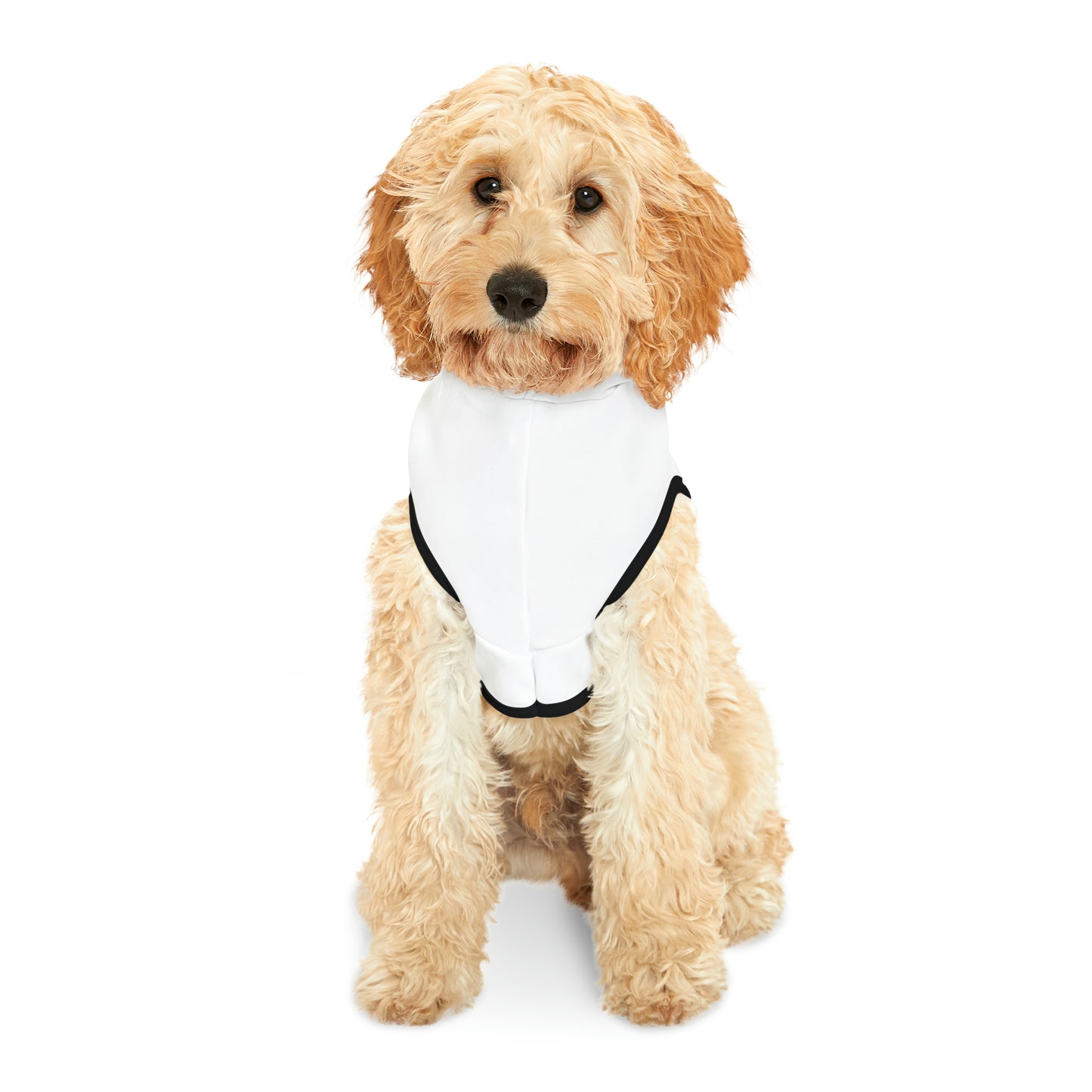 DIY Dog Wash Pet Hoodie