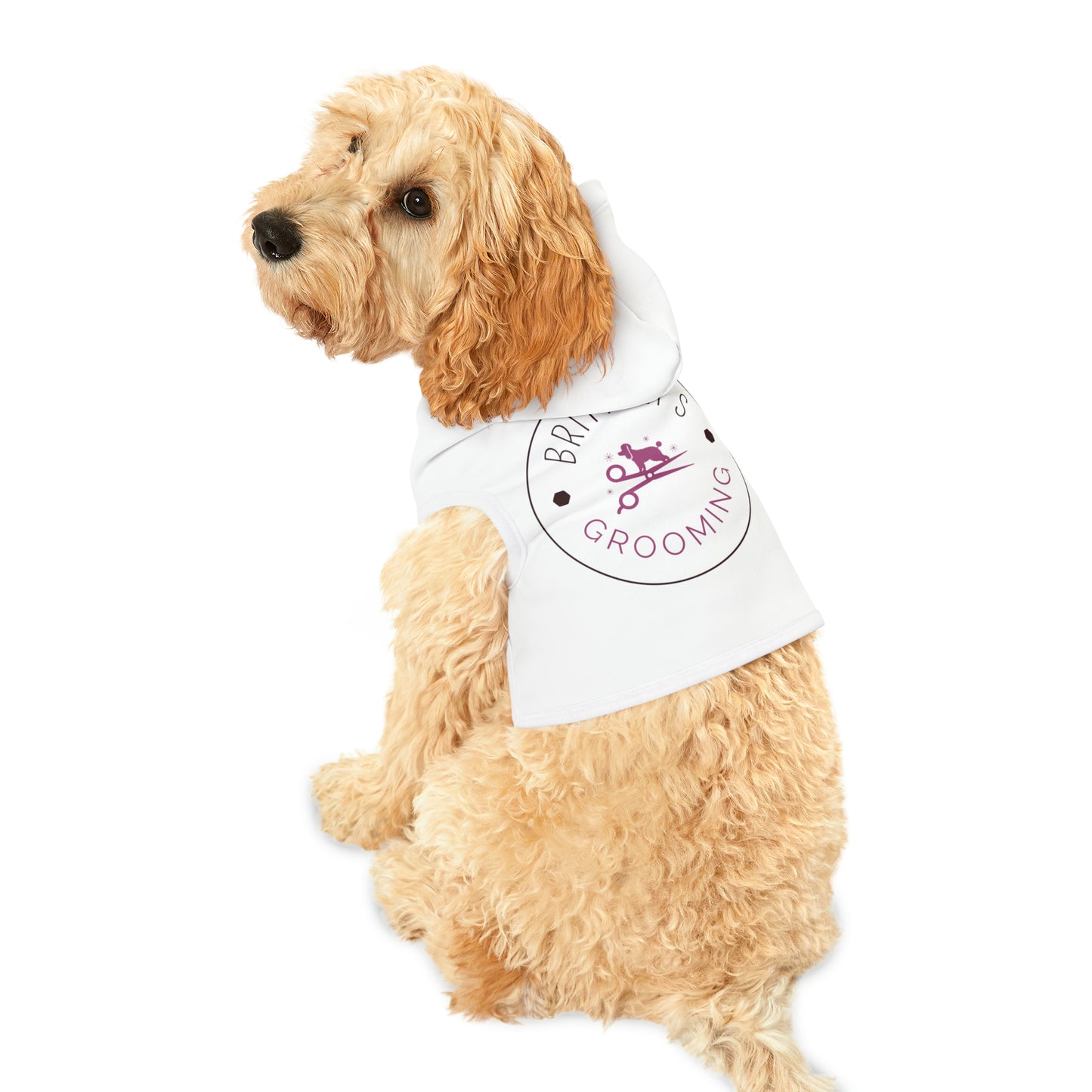 Brittney's Grooming Pet Hoodie